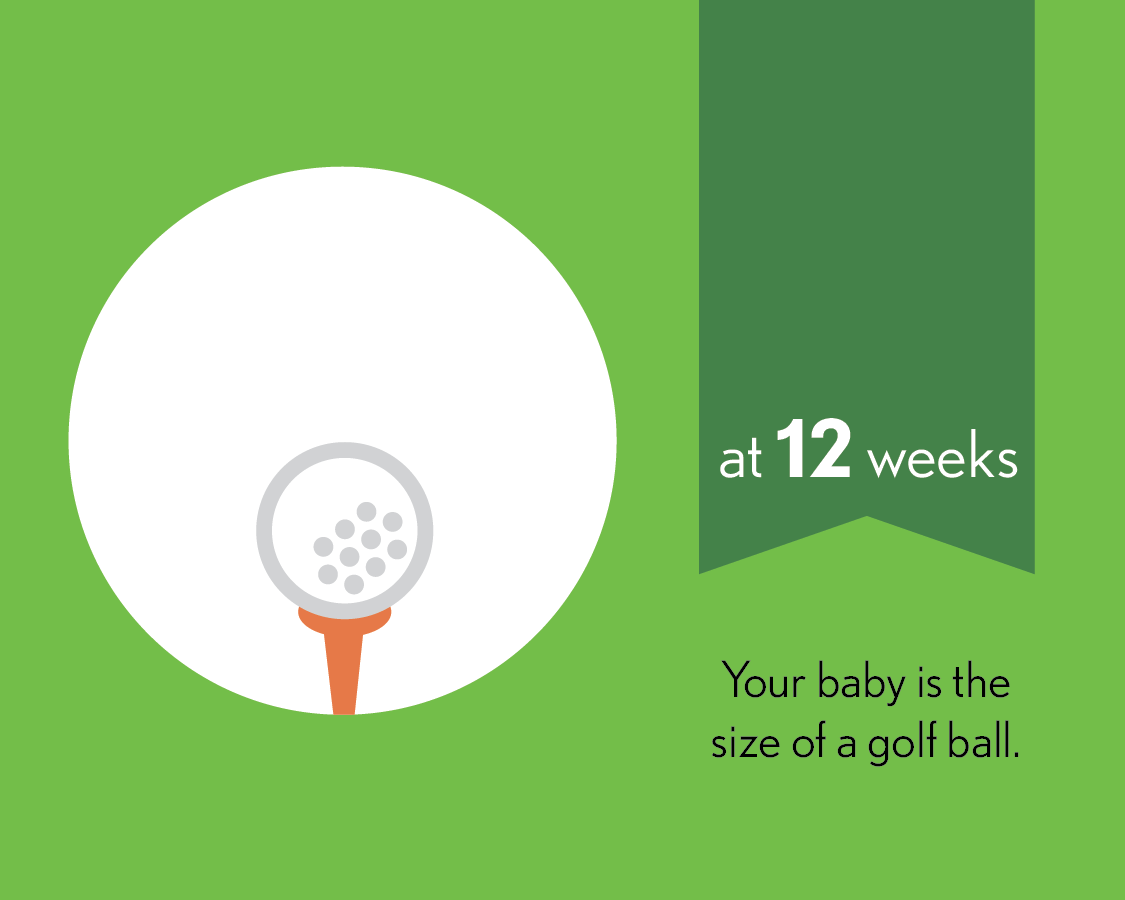 At 12 weeks, your baby is the size of a golf ball.