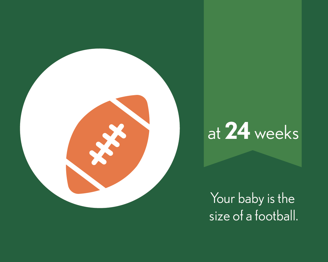 At 24 weeks, your baby is the size of a football.