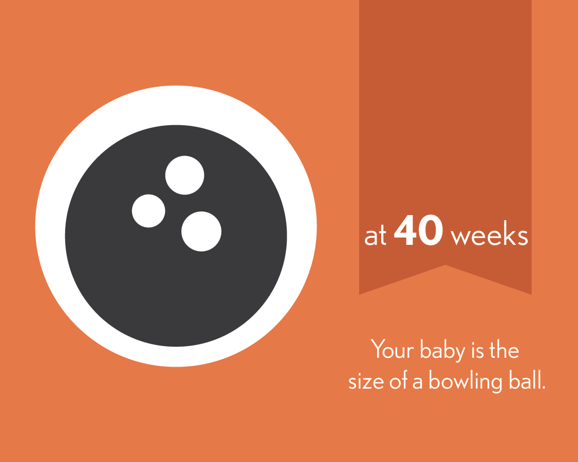 At 40 weeks, your baby is the size of a bowling ball.