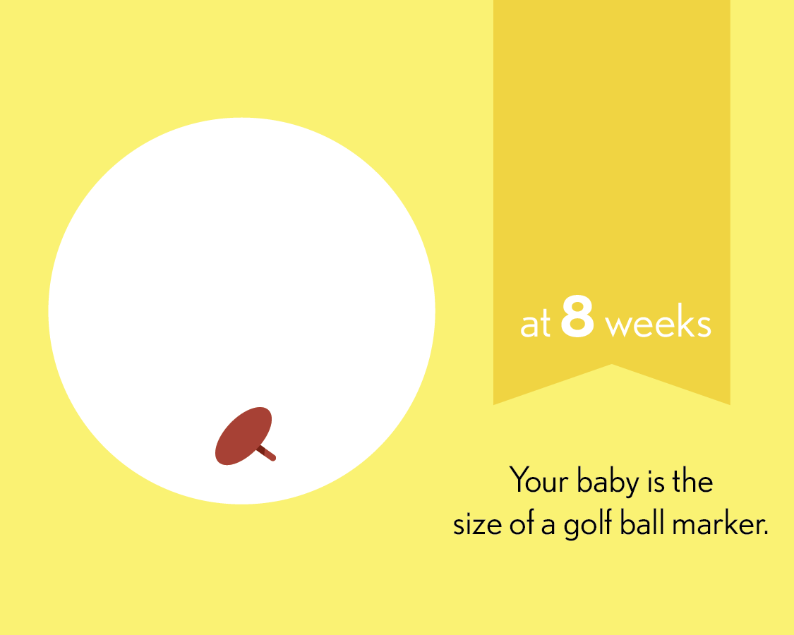 At 8 weeks, your baby is the size of a galf ball marker.