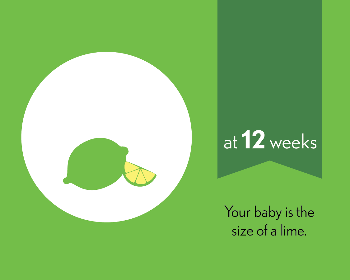 At 12 weeks, your baby is the size of a lime.