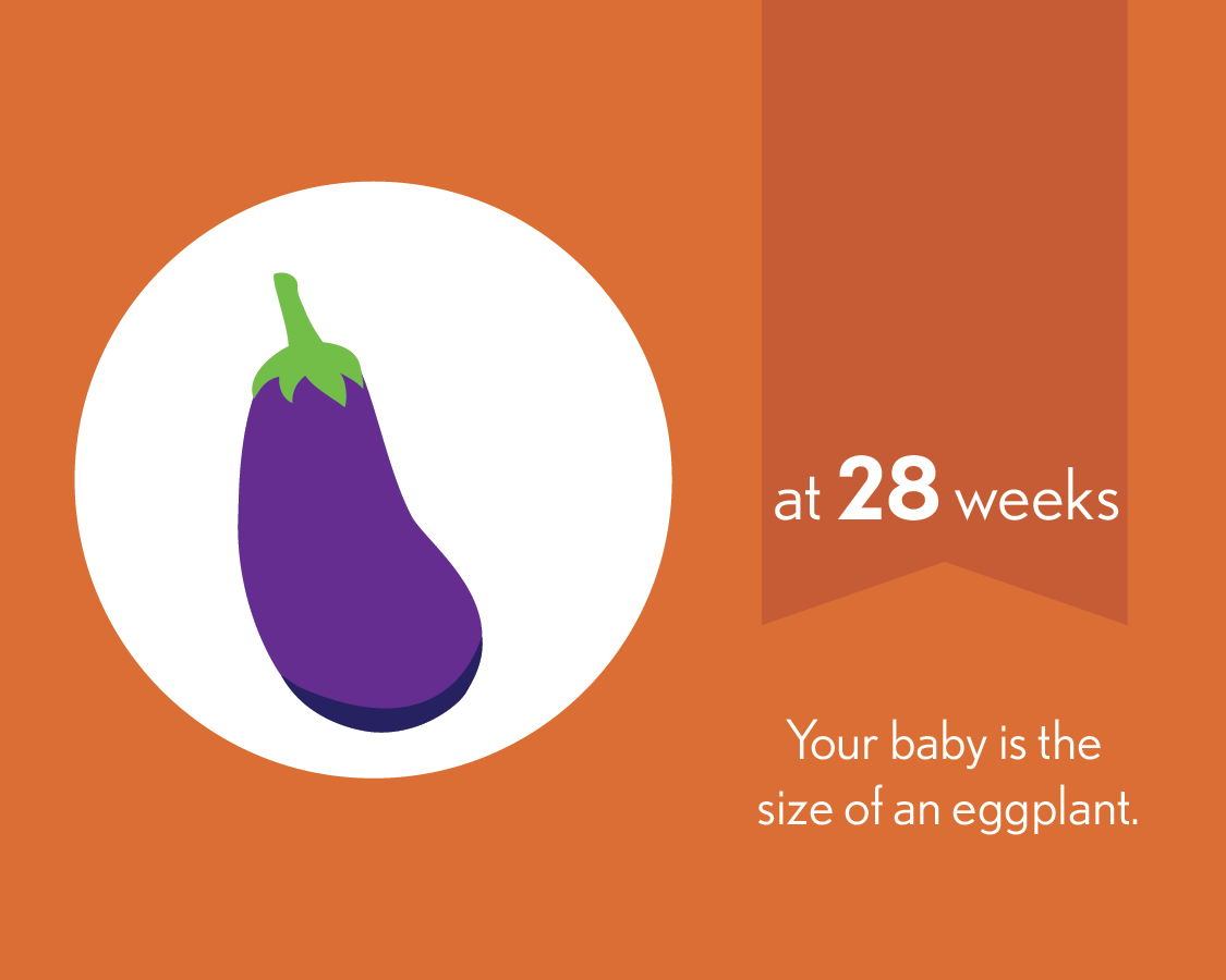 At 28 weeks, your baby is the size of an eggplant.