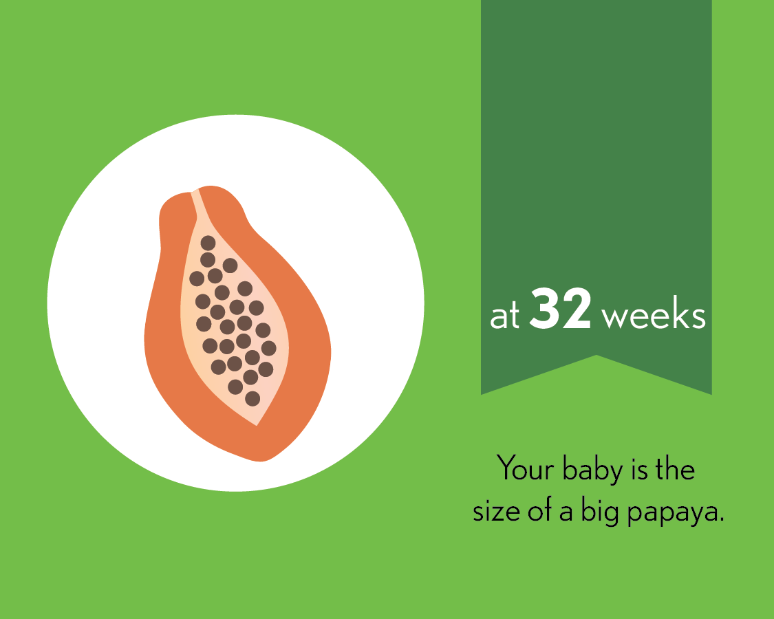 At 32 weeks, your baby is the size of a big papaya.