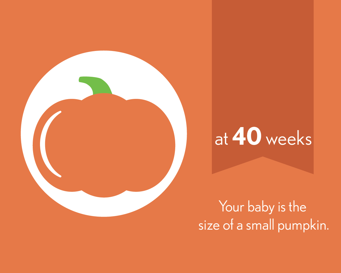 At 40 weeks, your baby is the size of a small pumpkin