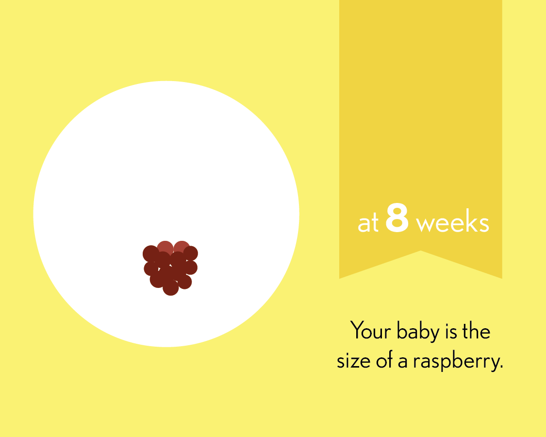 At 8 weeks, your baby is the size of a raspberry.